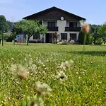 Sonnenblume 3*